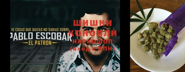 стафф Протвино