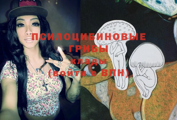 соль курить ск Приозерск